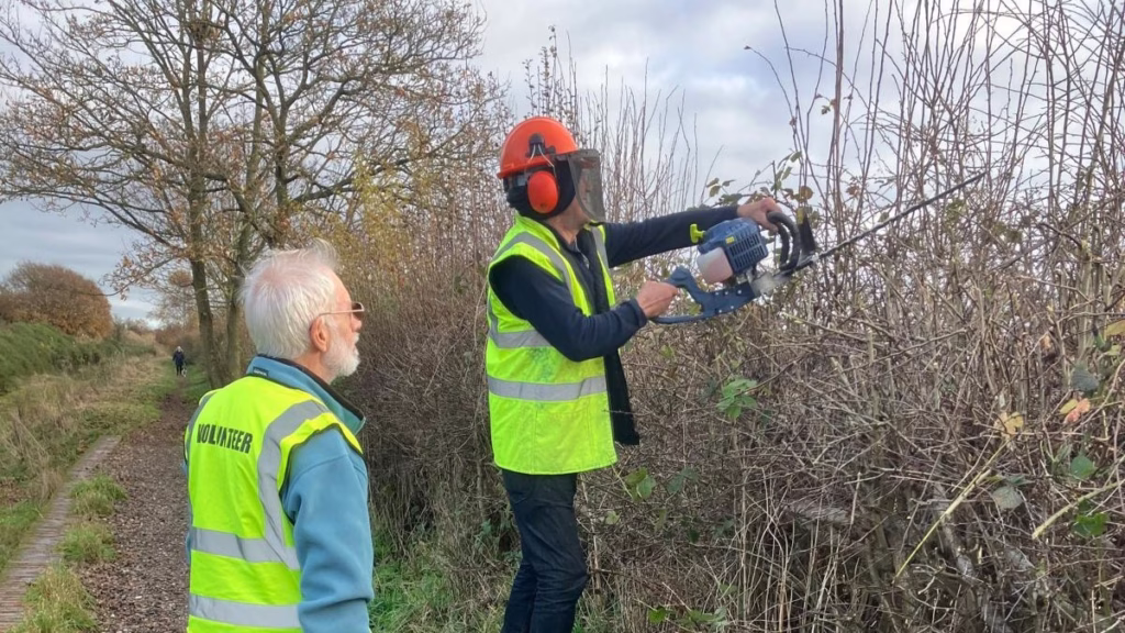 Fosseway hedge trim green team doe vol Jan 2025